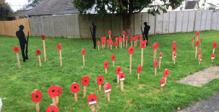 COUNCIL poppies-44