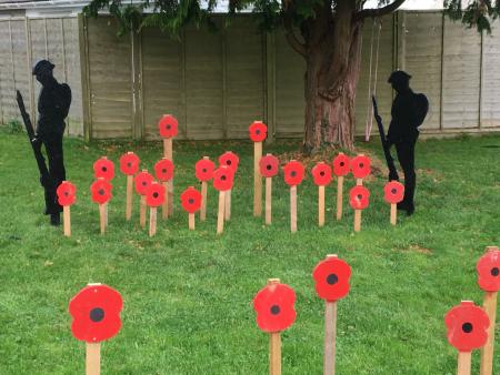 COUNCIL poppies-45