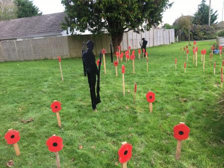 COUNCIL poppies-48