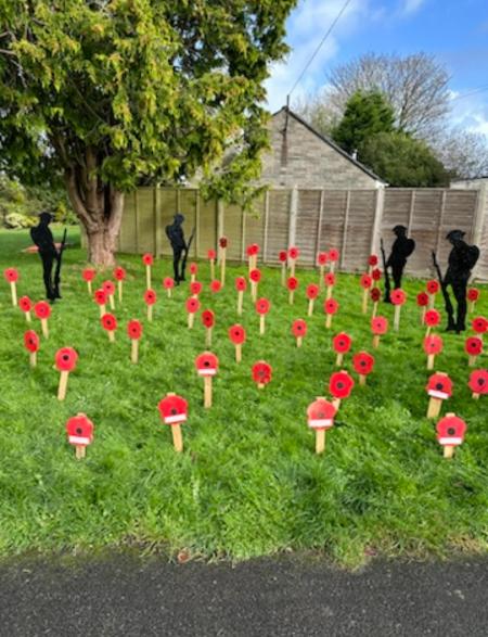 COUNCIL poppies on the green